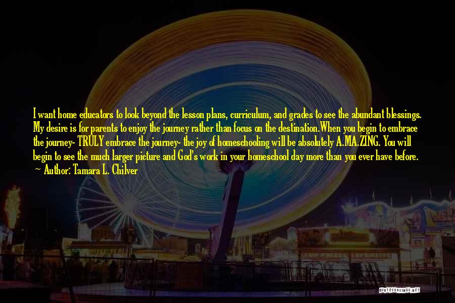 Tamara L. Chilver Quotes: I Want Home Educators To Look Beyond The Lesson Plans, Curriculum, And Grades To See The Abundant Blessings. My Desire