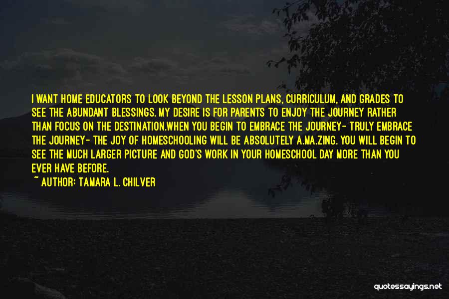 Tamara L. Chilver Quotes: I Want Home Educators To Look Beyond The Lesson Plans, Curriculum, And Grades To See The Abundant Blessings. My Desire