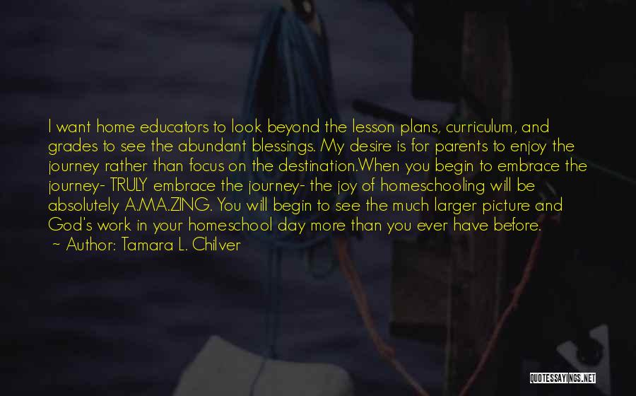 Tamara L. Chilver Quotes: I Want Home Educators To Look Beyond The Lesson Plans, Curriculum, And Grades To See The Abundant Blessings. My Desire