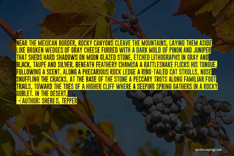 Sheri S. Tepper Quotes: Near The Mexican Border, Rocky Canyons Cleave The Mountains, Laying Them Aside Like Broken Wedges Of Gray Cheese Furred With