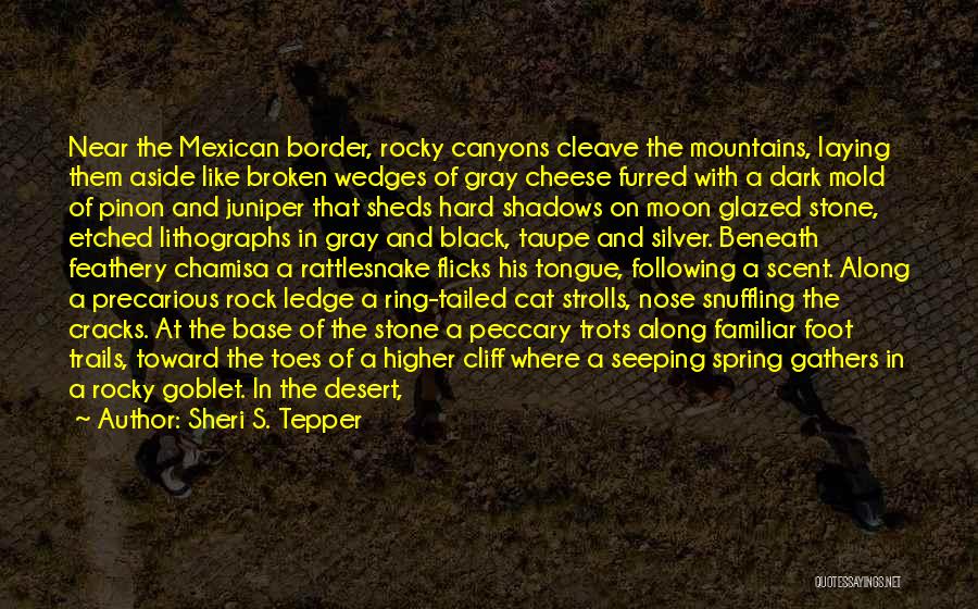 Sheri S. Tepper Quotes: Near The Mexican Border, Rocky Canyons Cleave The Mountains, Laying Them Aside Like Broken Wedges Of Gray Cheese Furred With