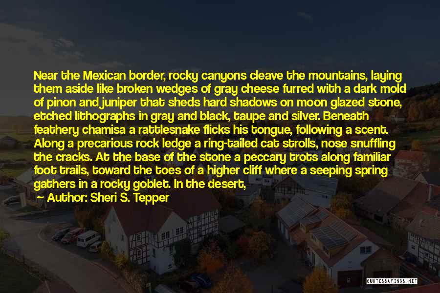 Sheri S. Tepper Quotes: Near The Mexican Border, Rocky Canyons Cleave The Mountains, Laying Them Aside Like Broken Wedges Of Gray Cheese Furred With