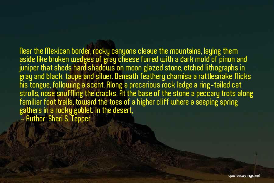 Sheri S. Tepper Quotes: Near The Mexican Border, Rocky Canyons Cleave The Mountains, Laying Them Aside Like Broken Wedges Of Gray Cheese Furred With