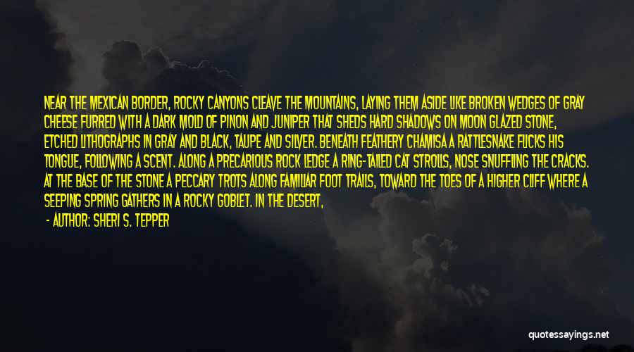 Sheri S. Tepper Quotes: Near The Mexican Border, Rocky Canyons Cleave The Mountains, Laying Them Aside Like Broken Wedges Of Gray Cheese Furred With