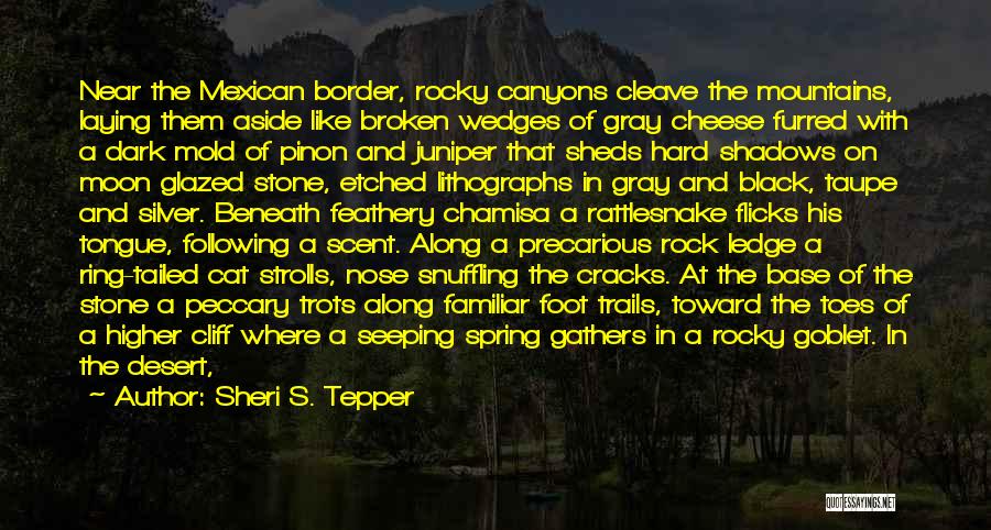 Sheri S. Tepper Quotes: Near The Mexican Border, Rocky Canyons Cleave The Mountains, Laying Them Aside Like Broken Wedges Of Gray Cheese Furred With