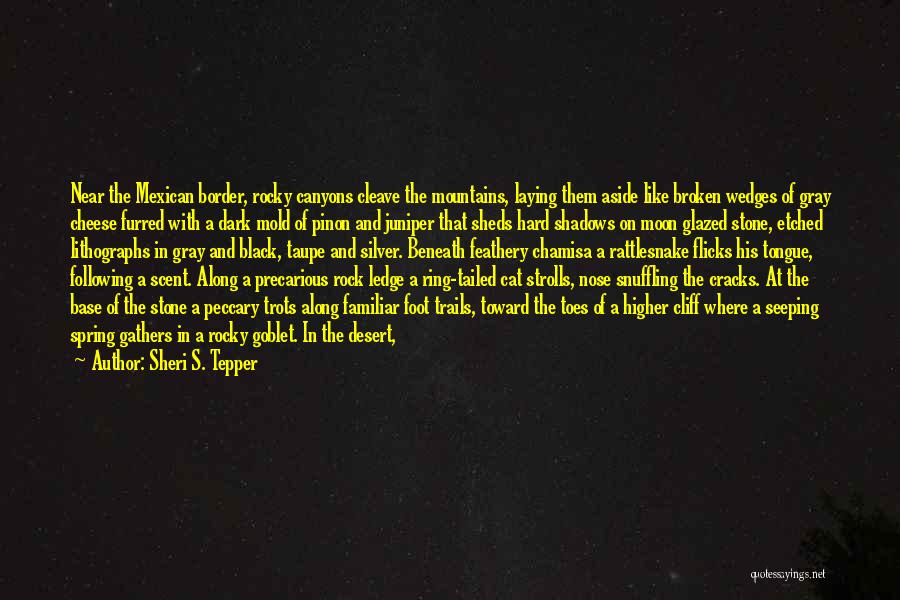 Sheri S. Tepper Quotes: Near The Mexican Border, Rocky Canyons Cleave The Mountains, Laying Them Aside Like Broken Wedges Of Gray Cheese Furred With