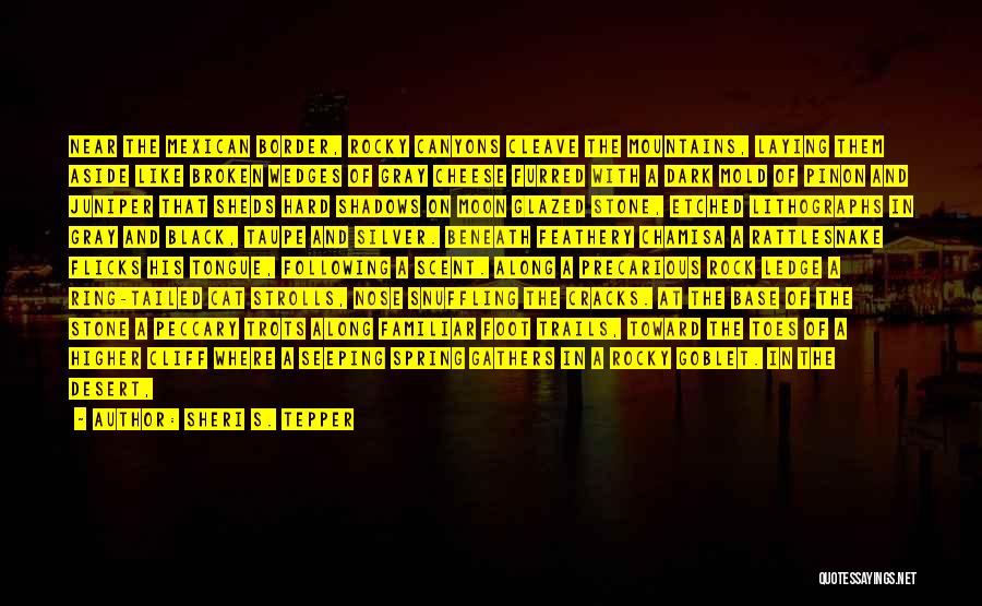 Sheri S. Tepper Quotes: Near The Mexican Border, Rocky Canyons Cleave The Mountains, Laying Them Aside Like Broken Wedges Of Gray Cheese Furred With