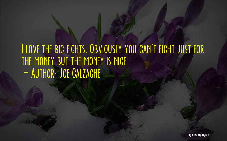 Joe Calzaghe Quotes: I Love The Big Fights. Obviously You Can't Fight Just For The Money But The Money Is Nice.