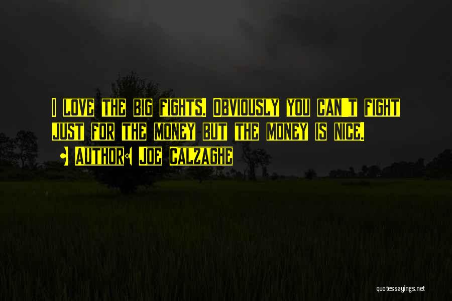 Joe Calzaghe Quotes: I Love The Big Fights. Obviously You Can't Fight Just For The Money But The Money Is Nice.