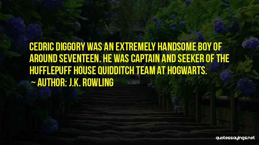 J.K. Rowling Quotes: Cedric Diggory Was An Extremely Handsome Boy Of Around Seventeen. He Was Captain And Seeker Of The Hufflepuff House Quidditch