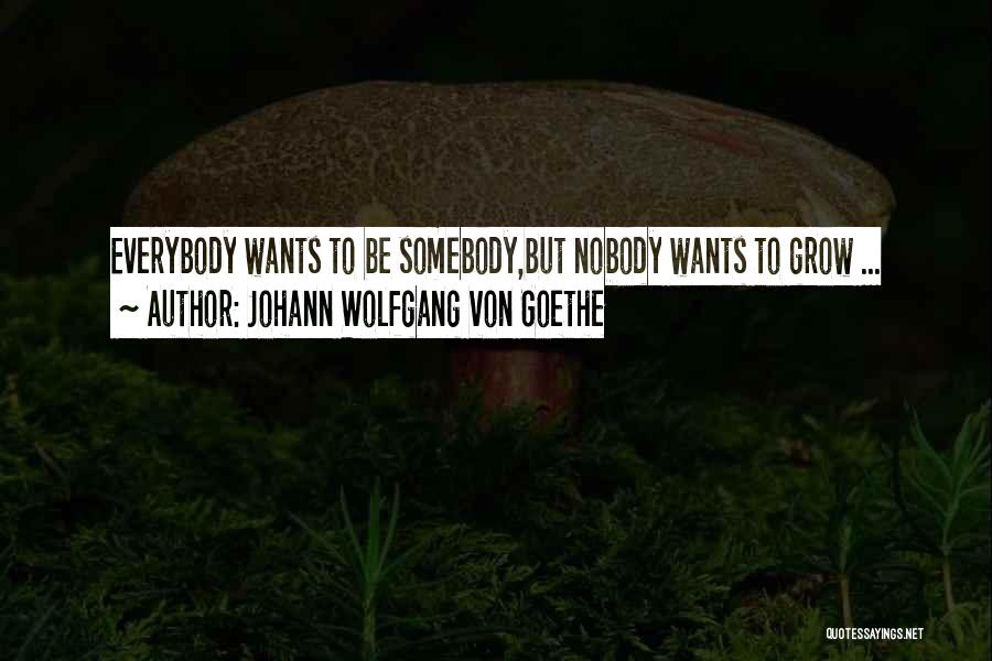 Johann Wolfgang Von Goethe Quotes: Everybody Wants To Be Somebody,but Nobody Wants To Grow ...