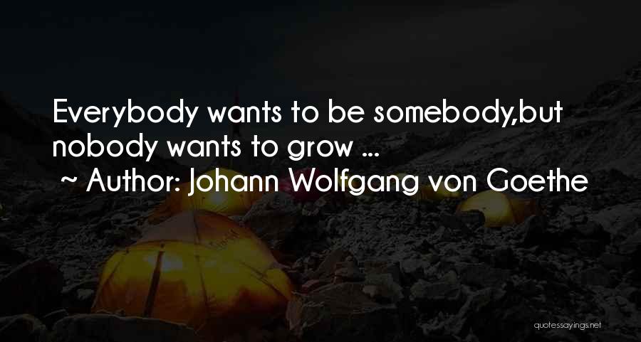 Johann Wolfgang Von Goethe Quotes: Everybody Wants To Be Somebody,but Nobody Wants To Grow ...