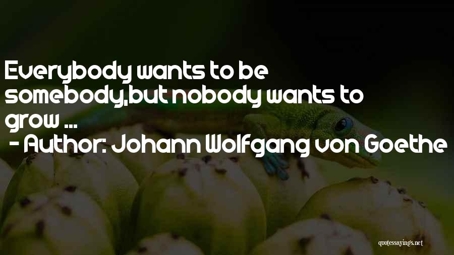Johann Wolfgang Von Goethe Quotes: Everybody Wants To Be Somebody,but Nobody Wants To Grow ...