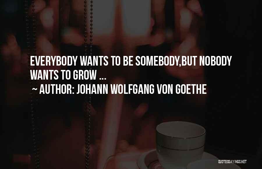 Johann Wolfgang Von Goethe Quotes: Everybody Wants To Be Somebody,but Nobody Wants To Grow ...