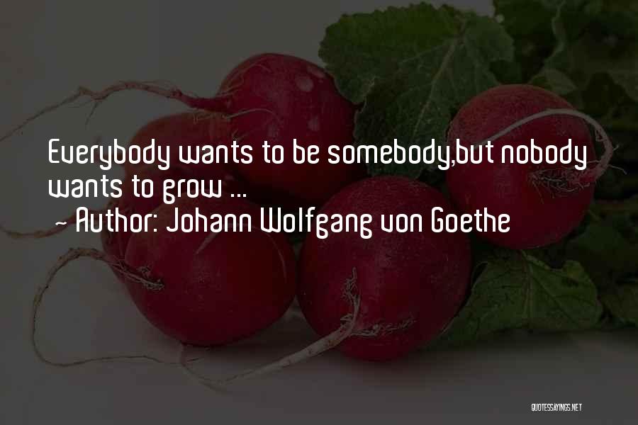Johann Wolfgang Von Goethe Quotes: Everybody Wants To Be Somebody,but Nobody Wants To Grow ...