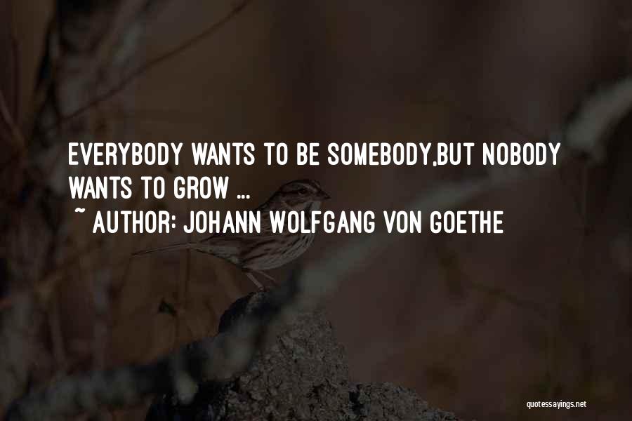 Johann Wolfgang Von Goethe Quotes: Everybody Wants To Be Somebody,but Nobody Wants To Grow ...