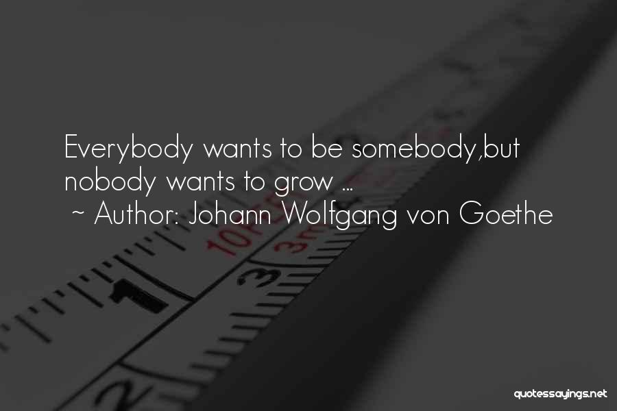Johann Wolfgang Von Goethe Quotes: Everybody Wants To Be Somebody,but Nobody Wants To Grow ...