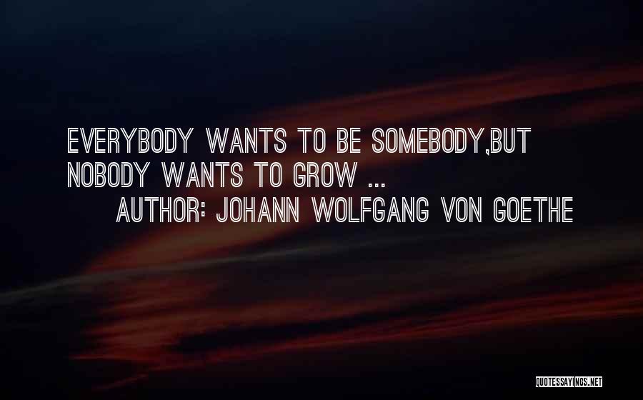 Johann Wolfgang Von Goethe Quotes: Everybody Wants To Be Somebody,but Nobody Wants To Grow ...