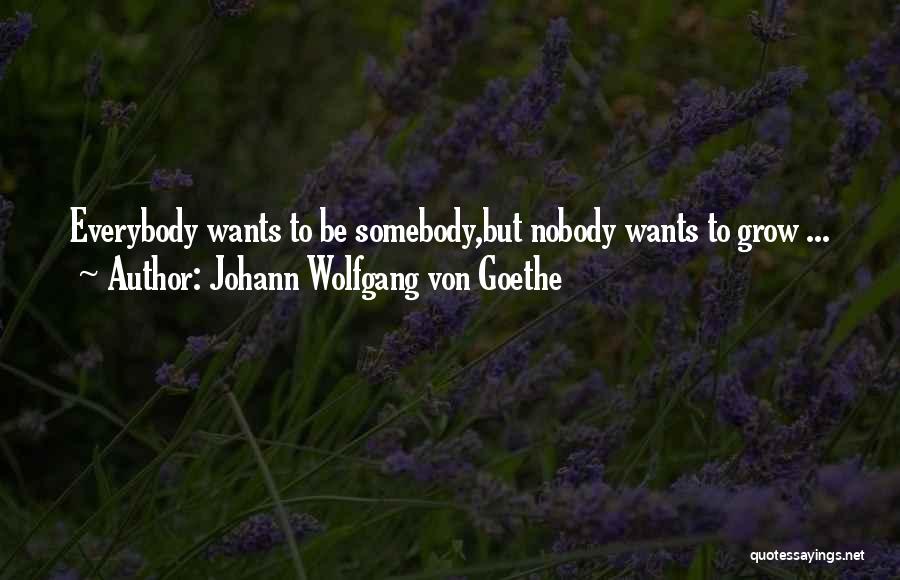 Johann Wolfgang Von Goethe Quotes: Everybody Wants To Be Somebody,but Nobody Wants To Grow ...