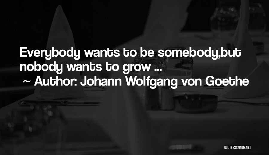 Johann Wolfgang Von Goethe Quotes: Everybody Wants To Be Somebody,but Nobody Wants To Grow ...