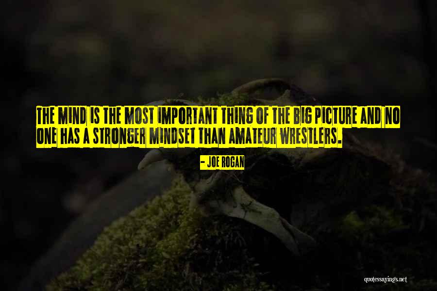 167 Centimeters Quotes By Joe Rogan 167 Centimeters Quotes By Joe Rogan