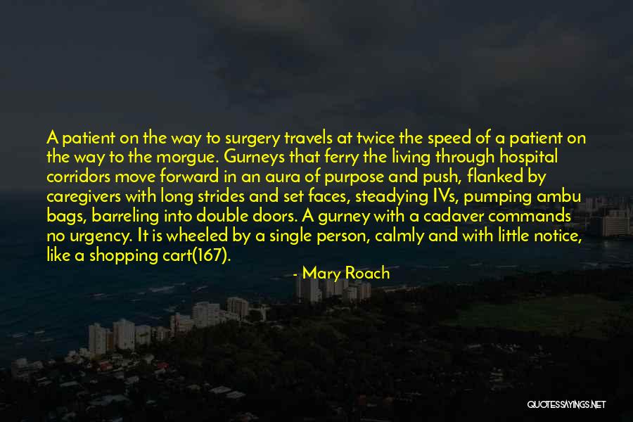 167 Quotes By Mary Roach 167 Quotes By Mary Roach