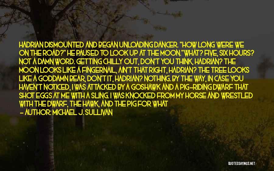 Michael J. Sullivan Quotes: Hadrian Dismounted And Began Unloading Dancer. How Long Were We On The Road? He Paused To Look Up At The