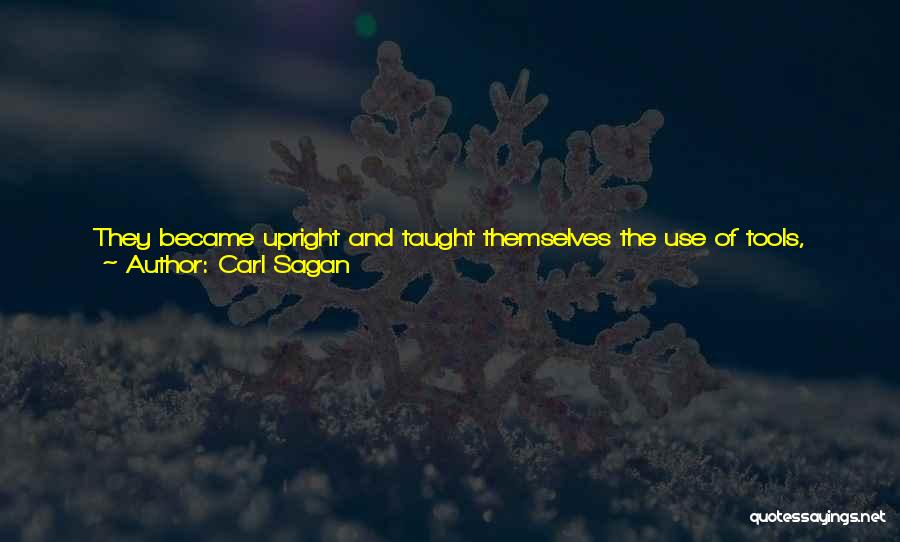 Carl Sagan Quotes: They Became Upright And Taught Themselves The Use Of Tools, Domesticated Other Animals, Plants And Fire, And Devised Language. The