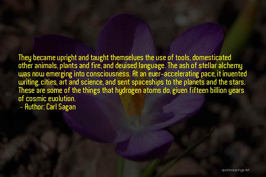 Carl Sagan Quotes: They Became Upright And Taught Themselves The Use Of Tools, Domesticated Other Animals, Plants And Fire, And Devised Language. The