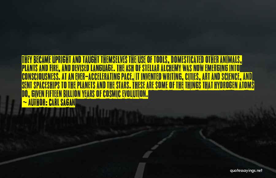 Carl Sagan Quotes: They Became Upright And Taught Themselves The Use Of Tools, Domesticated Other Animals, Plants And Fire, And Devised Language. The