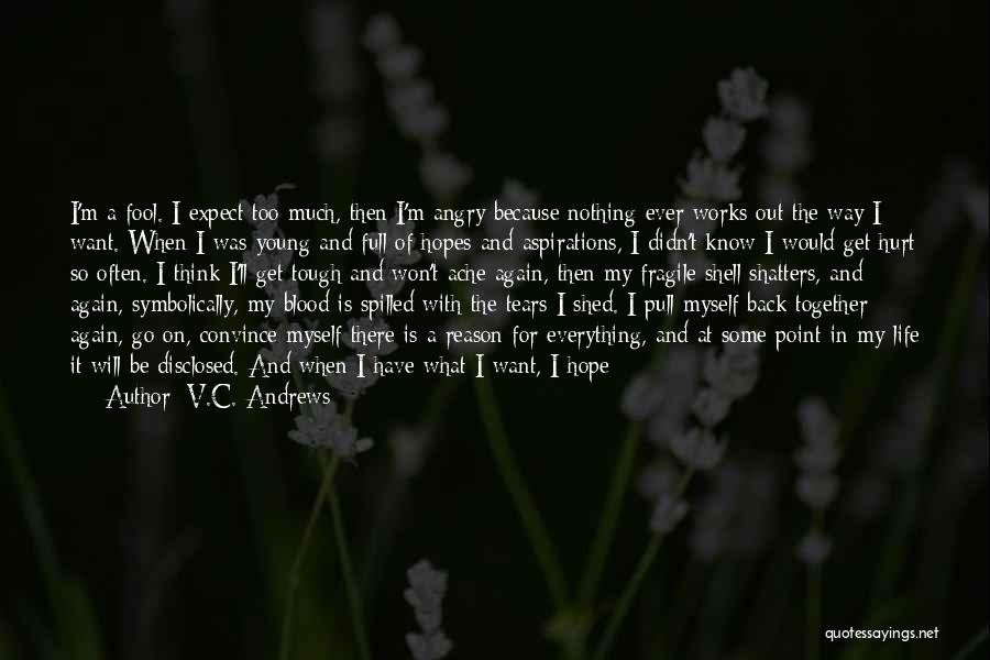 V.C. Andrews Quotes: I'm A Fool. I Expect Too Much, Then I'm Angry Because Nothing Ever Works Out The Way I Want. When