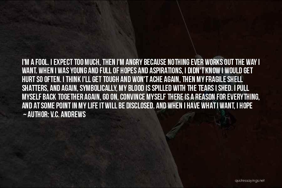 V.C. Andrews Quotes: I'm A Fool. I Expect Too Much, Then I'm Angry Because Nothing Ever Works Out The Way I Want. When