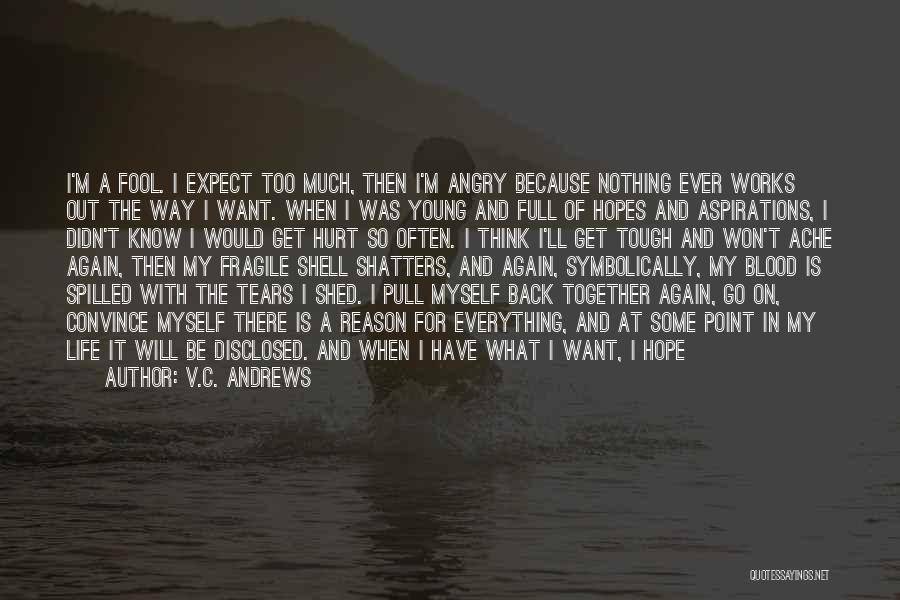 V.C. Andrews Quotes: I'm A Fool. I Expect Too Much, Then I'm Angry Because Nothing Ever Works Out The Way I Want. When