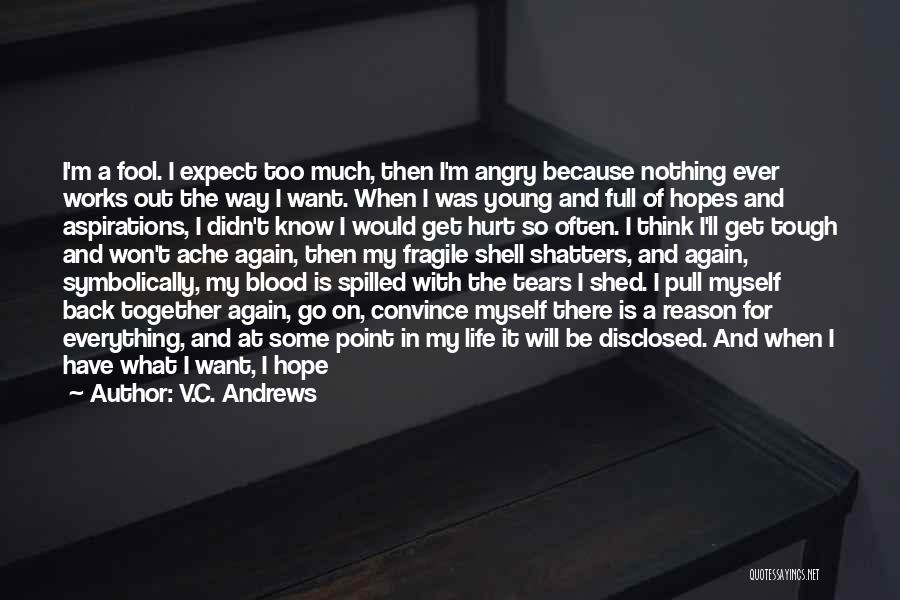 V.C. Andrews Quotes: I'm A Fool. I Expect Too Much, Then I'm Angry Because Nothing Ever Works Out The Way I Want. When