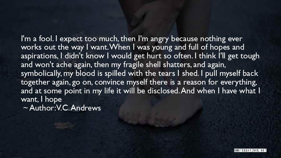 V.C. Andrews Quotes: I'm A Fool. I Expect Too Much, Then I'm Angry Because Nothing Ever Works Out The Way I Want. When