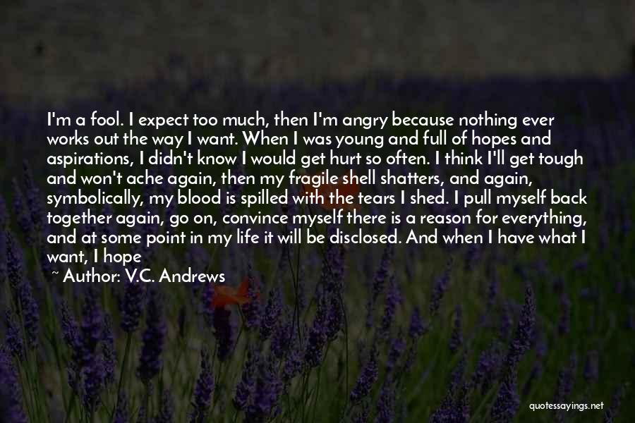 V.C. Andrews Quotes: I'm A Fool. I Expect Too Much, Then I'm Angry Because Nothing Ever Works Out The Way I Want. When