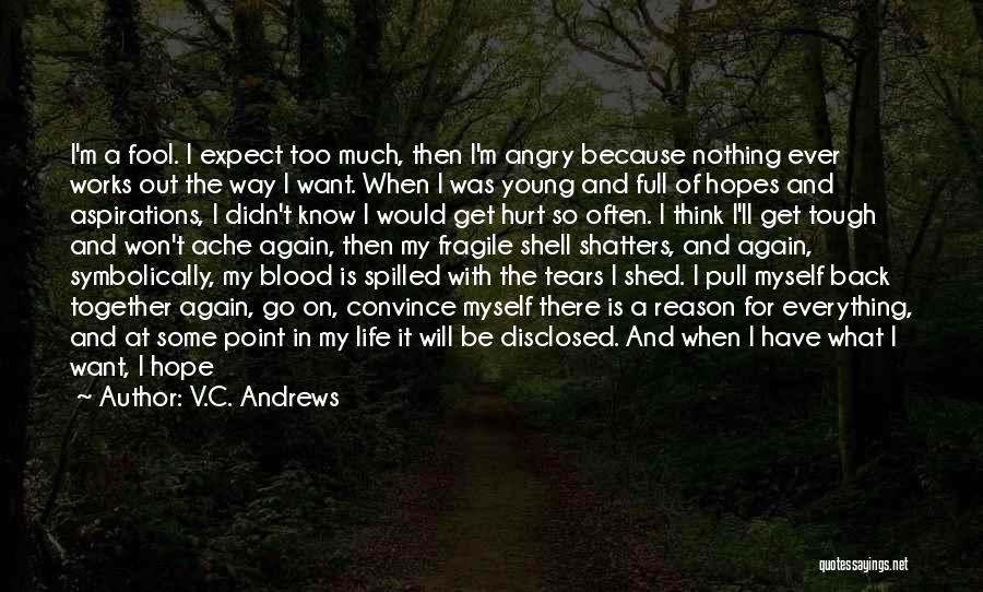 V.C. Andrews Quotes: I'm A Fool. I Expect Too Much, Then I'm Angry Because Nothing Ever Works Out The Way I Want. When