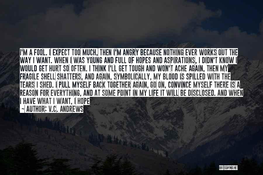 V.C. Andrews Quotes: I'm A Fool. I Expect Too Much, Then I'm Angry Because Nothing Ever Works Out The Way I Want. When