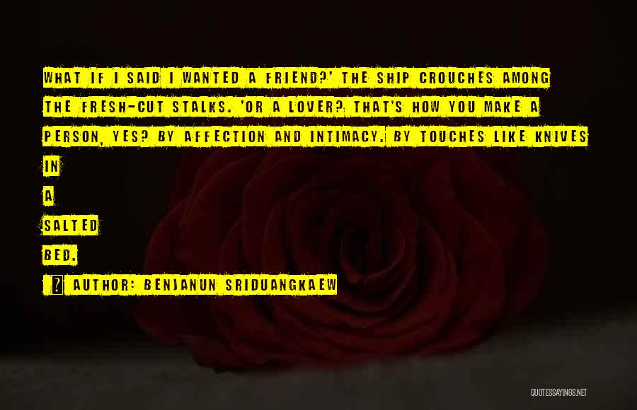 Benjanun Sriduangkaew Quotes: What If I Said I Wanted A Friend?' The Ship Crouches Among The Fresh-cut Stalks. 'or A Lover? That's How