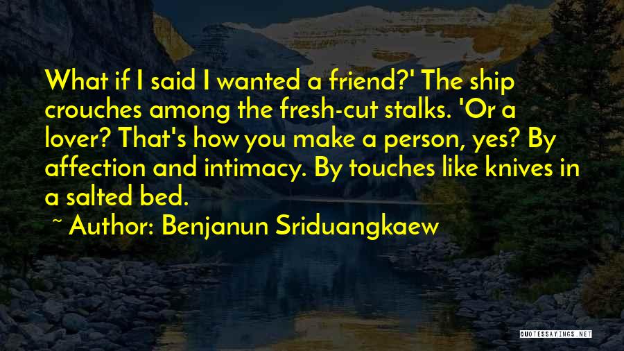 Benjanun Sriduangkaew Quotes: What If I Said I Wanted A Friend?' The Ship Crouches Among The Fresh-cut Stalks. 'or A Lover? That's How