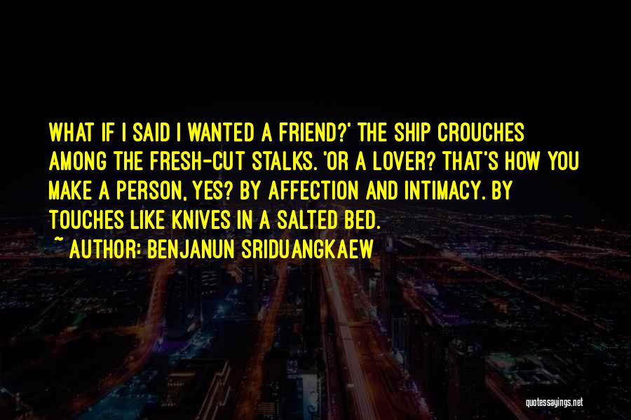 Benjanun Sriduangkaew Quotes: What If I Said I Wanted A Friend?' The Ship Crouches Among The Fresh-cut Stalks. 'or A Lover? That's How