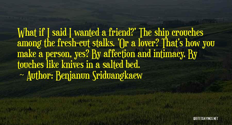 Benjanun Sriduangkaew Quotes: What If I Said I Wanted A Friend?' The Ship Crouches Among The Fresh-cut Stalks. 'or A Lover? That's How