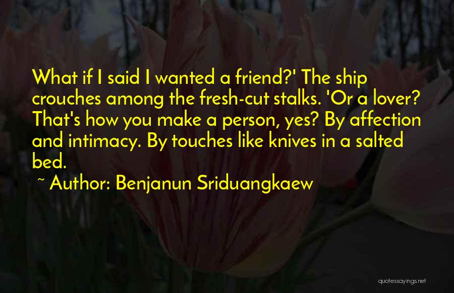 Benjanun Sriduangkaew Quotes: What If I Said I Wanted A Friend?' The Ship Crouches Among The Fresh-cut Stalks. 'or A Lover? That's How