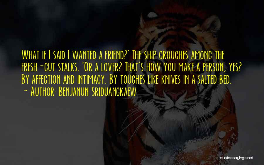 Benjanun Sriduangkaew Quotes: What If I Said I Wanted A Friend?' The Ship Crouches Among The Fresh-cut Stalks. 'or A Lover? That's How