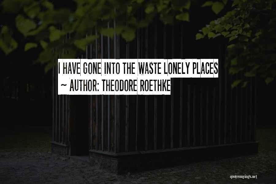 Theodore Roethke Quotes: I Have Gone Into The Waste Lonely Places