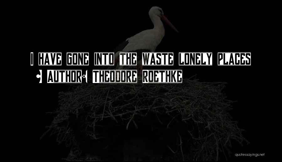 Theodore Roethke Quotes: I Have Gone Into The Waste Lonely Places