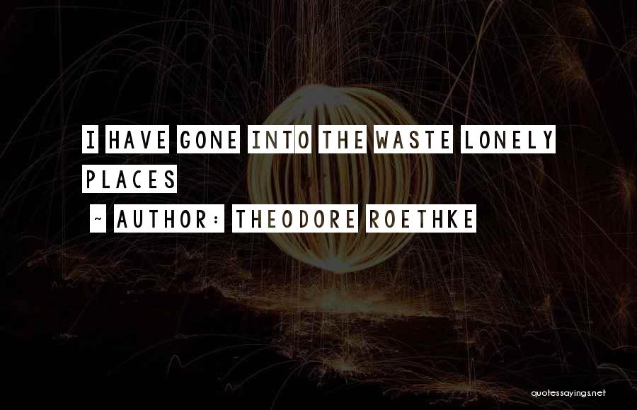 Theodore Roethke Quotes: I Have Gone Into The Waste Lonely Places