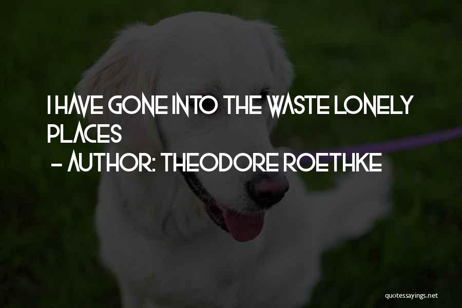 Theodore Roethke Quotes: I Have Gone Into The Waste Lonely Places