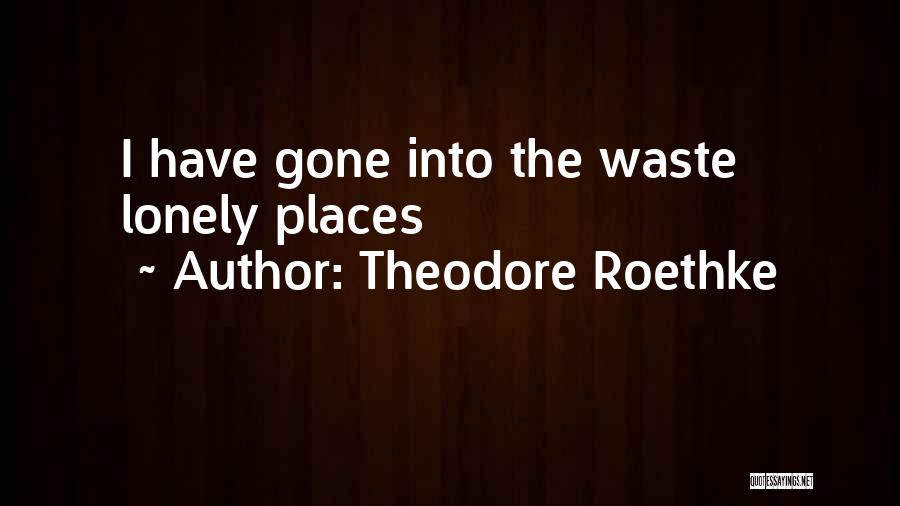 Theodore Roethke Quotes: I Have Gone Into The Waste Lonely Places