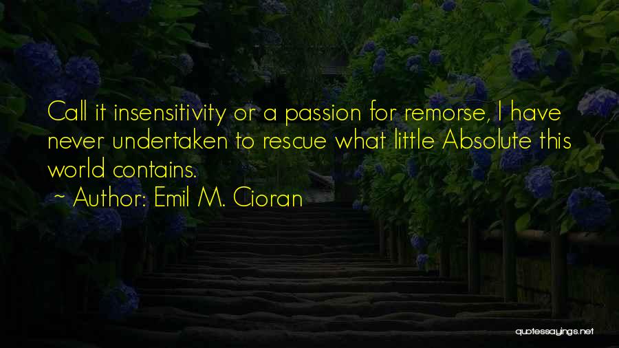 Emil M. Cioran Quotes: Call It Insensitivity Or A Passion For Remorse, I Have Never Undertaken To Rescue What Little Absolute This World Contains.